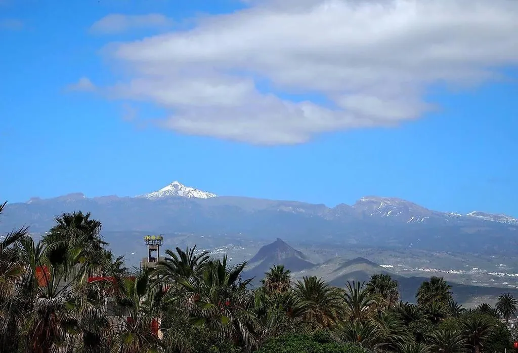 Atico Vista Teide contacts